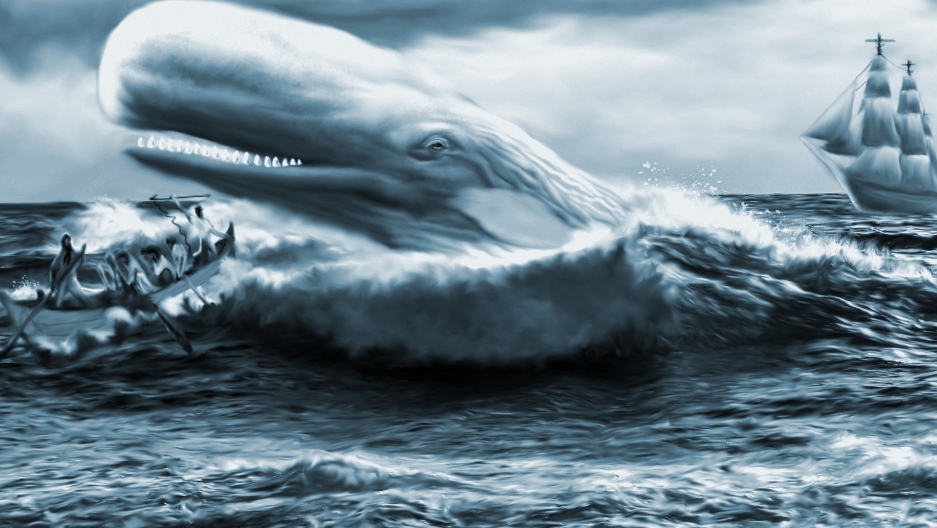 moby dick pix