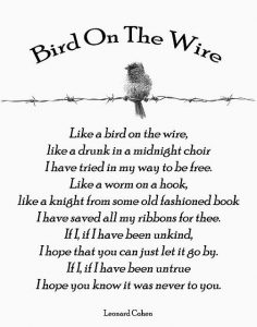 bird on a wire lyrics